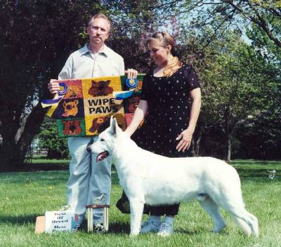 Bill's first Specialty show win in Wanatah, IN; Best of Breed at WSCC Show 4 May, 2002 