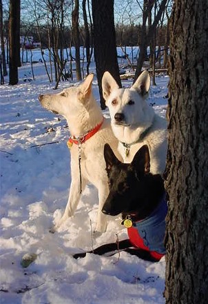 Bill, Chloe and MissY