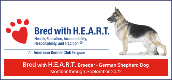 AKC Bred with H.E.A.R.T.