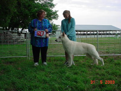 AWSA Winners Dog, May, 2003