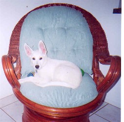 Elsie in her lounging chair, 14 weeks old