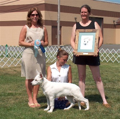 Keeper's first conformation show-- Best Puppy in Show at our UWSC nationals!